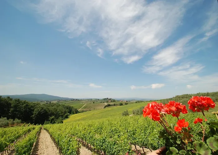 Il Poderino Κατάλυμα σε φάρμα *