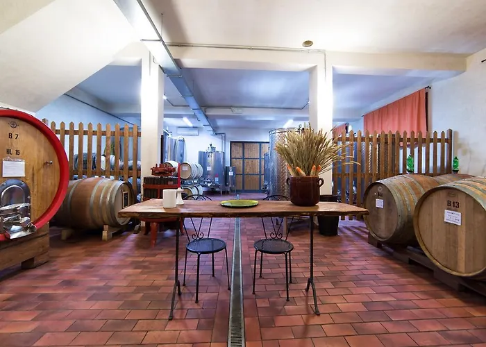 ファームステイ Il Poderino モンテリッジョーニ